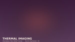 Thermal Imaging Scan North Charleston Sc