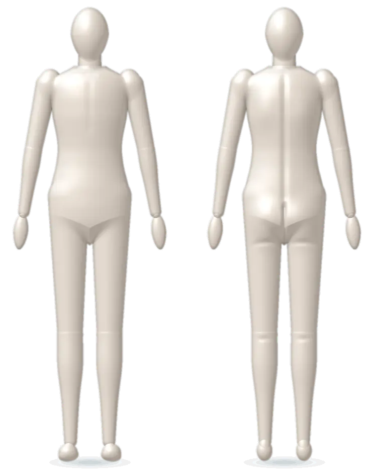 Front and back view of a body figure. The lit areas show where nerves from the chosen part of the spine travel.