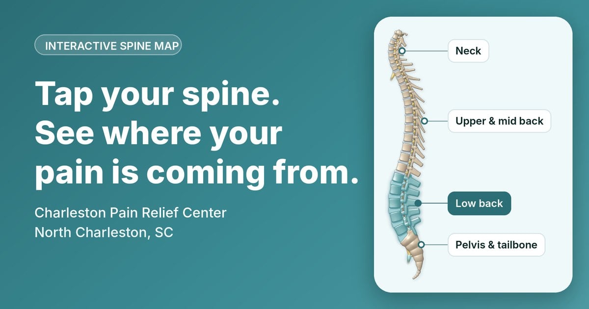 Interactive spine map with the neck, upper and mid back, low back, and pelvis labelled